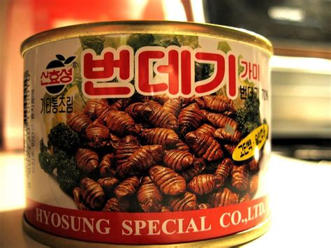 [Food] Beondegi (번데기, Silkworm Pupa) ~ peacebreeze