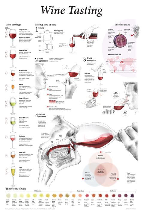 Wine Tasting – Cooking in Coldwater