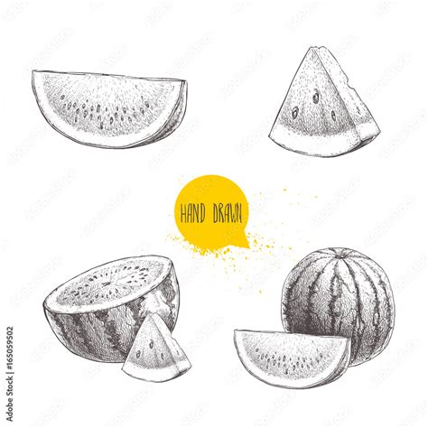 Set of hand drawn sketch style watermelons and watermelon slices ...