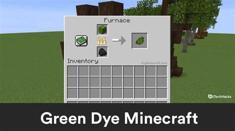 How To Get Minecraft Green Dye 2021 Full Guide | itechhacks