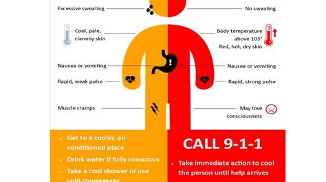 Here are a few tips to surviving this week's heat wave