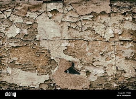 Broken Brick Wall Texture