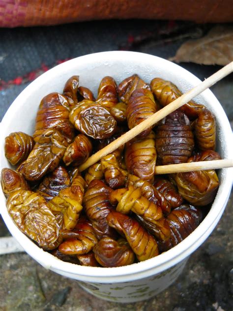 Top Asian delicacies that many consider kind of gross | SoraNews24 ...