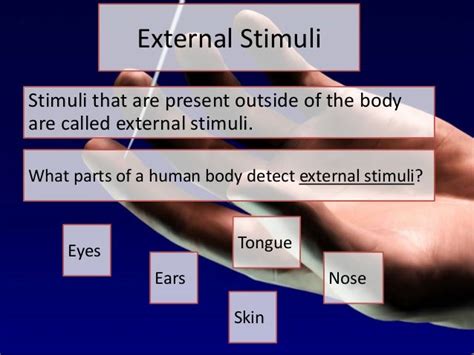 Stimuli lesson 2