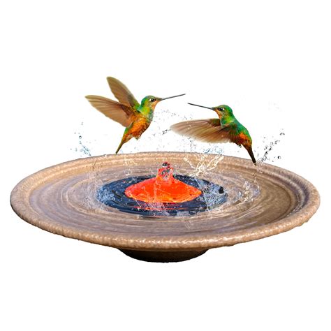 10 Hummingbird Water Fountains: Adding a Touch of Nature to Your Home ...