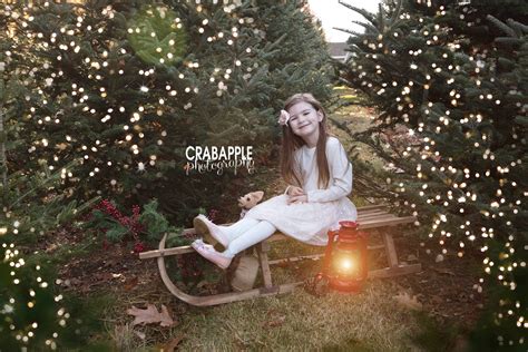 Tree Farm Christmas Photos · Crabapple Photography