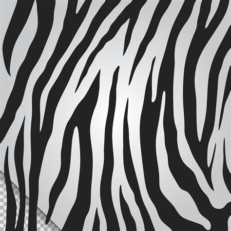 Black and white zebra skin pattern vector 17678874 Vector Art at Vecteezy