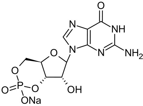 Guanosine 3',5'-cyclic monophosphate sodium salt (cGMP), cyclic ...