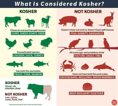 What is considered Kosher food : r/interestingasfuck