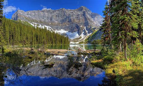 nature landscape mountain river pine trees forest wallpaper and background