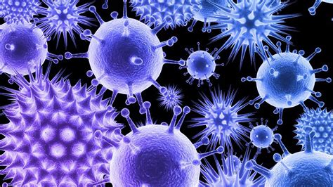 Microbiology HD Wallpapers - Top Free Microbiology HD Backgrounds ...