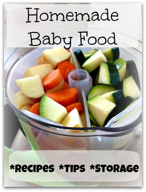 Homemade Baby Food Recipes & Tips