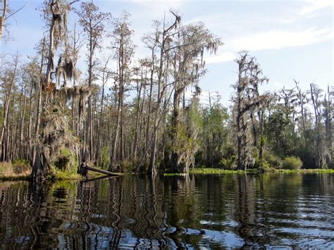 Proposal to Mine Near Okefenokee Swamp Raises Old Fears