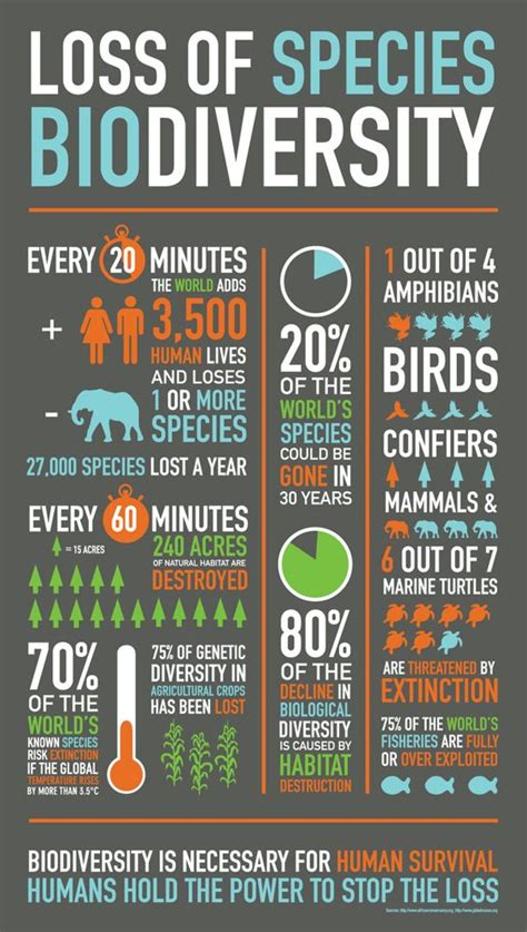 Tropical Rainforest Climate Graph