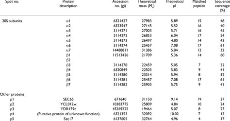 A list of 20S proteasome subunits identified by peptide mass ...