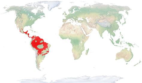 Jaguar Habitat Map