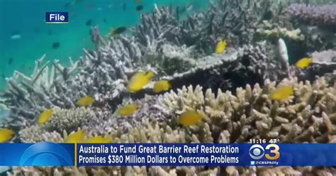 Australia To Fund $380 Million Project To Restore Great Barrier Reef ...