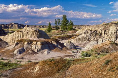 Dinosaur Provincial Park, Alberta, Canada Historical Facts and Pictures ...