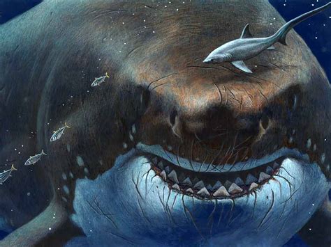 Megalodon The Shark: The Largest Sea Animal to Ever Live