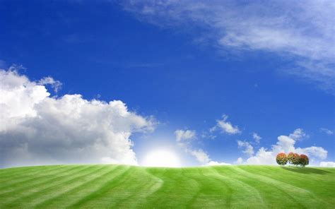 Grass and Sky Wallpaper - WallpaperSafari