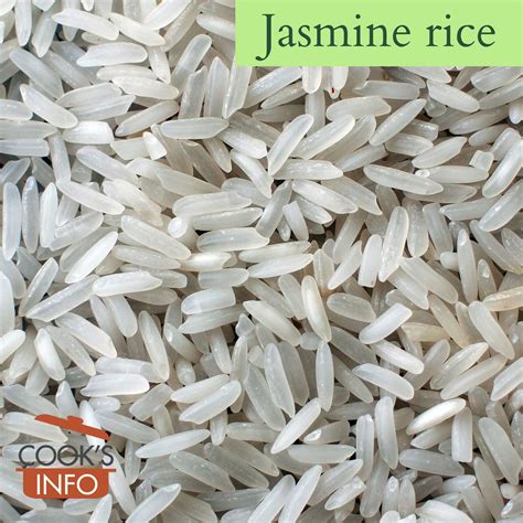 Jasmine Rice - CooksInfo