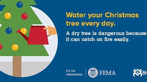 Holiday tips: Christmas tree fire safety | abc10.com