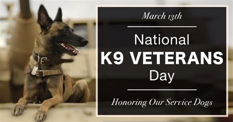 K9 Veterans Day: Saluting the dogs that have served and protected our ...