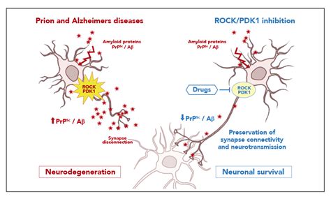 Newly identified pathways could advance understanding of ...