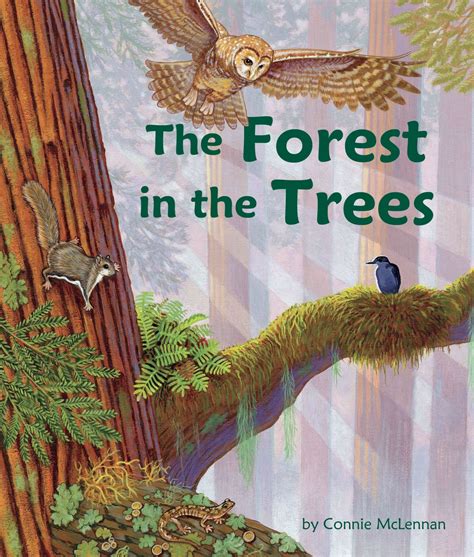 The Forest in the Trees: A Children's Book about the Redwood Canopy ...