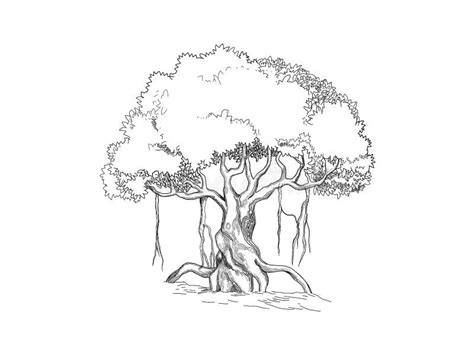 Banyan Tree Clipart