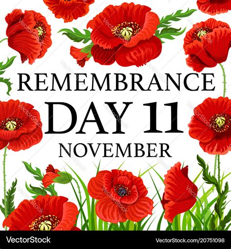 11 november poppy remembrance day card Royalty Free Vector