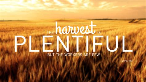 The harvest is plentiful, but the workers are few. Luke 10:2 | Bible ...