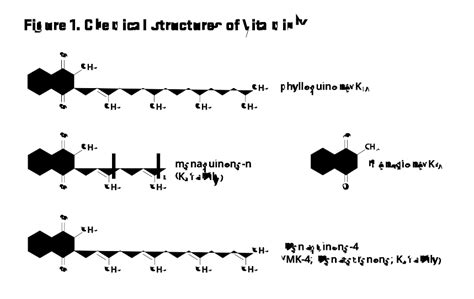 Vitamin K Structure