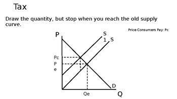 Step-by-Step Presentation: Drawing the Indirect Tax Diagram | TPT