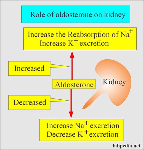 Aldosterone