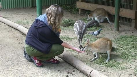 Featherdale Wildlife Park - Sydney - Australia - YouTube