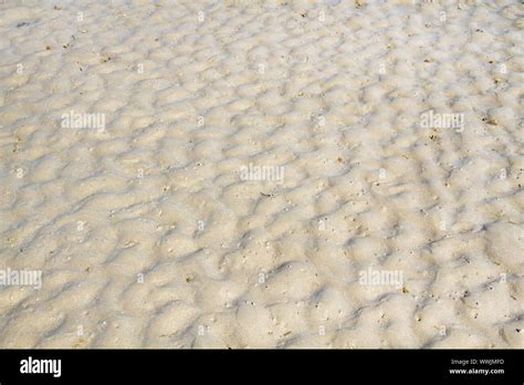 Sea sand, texture, background Stock Photo - Alamy