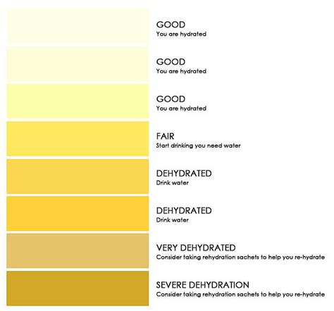 8-color scale urine hydration chart | Download Scientific Diagram