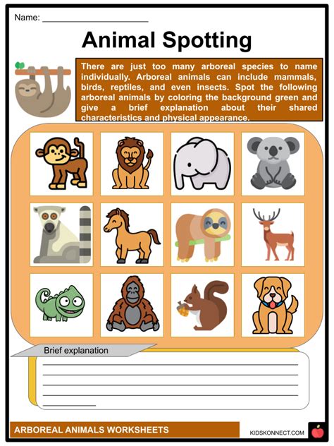 Arboreal Animals Worksheets | Biomechanics, Adaptation, Types