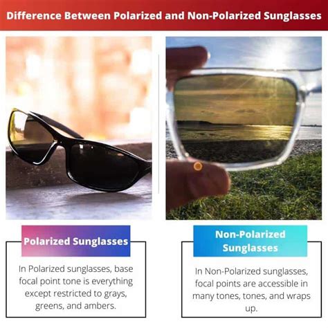 Polarized vs Non-Polarized Sunglasses: Difference and Comparison