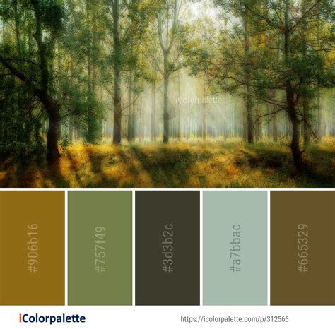 forest green color palette - So Many Wonderful Biog Photo Gallery