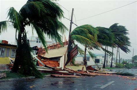 Damage By Hurricane Georges Photograph by Jim Edds/science Photo ...