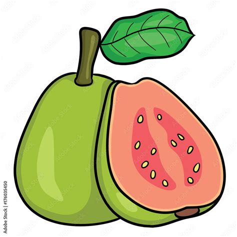 Guava Cartoon Images