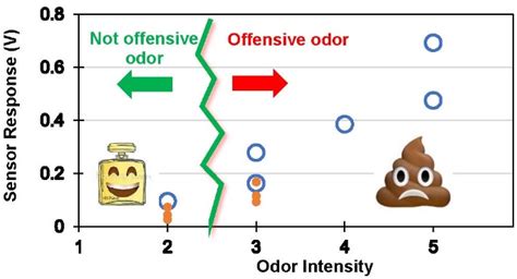 Stinky Poop: Causes and Solutions