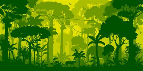 Jungle forest silhouette, rainforest background 24082057 Vector Art at ...