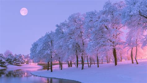 Winter Beauty Wallpapers - Wallpaper Cave