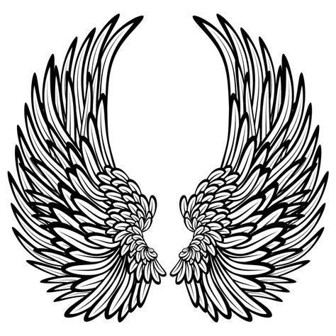 Angel Wings Drawn - ClipArt Best