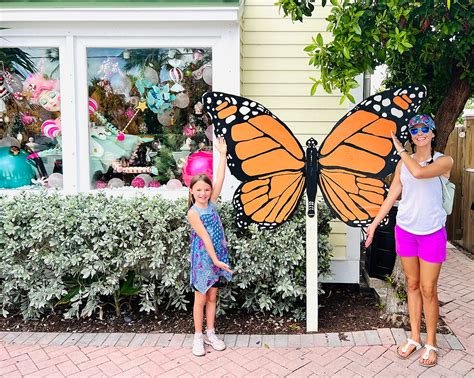 Key West Butterfly & Nature Conservatory