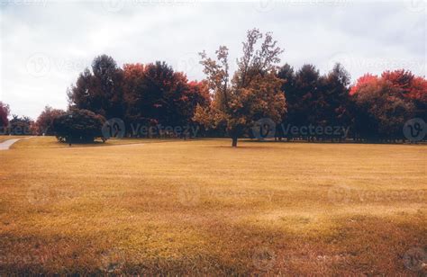 Trees in Autumn city park 11473330 Stock Photo at Vecteezy