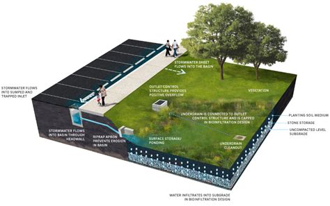 Bioretention Basin Design